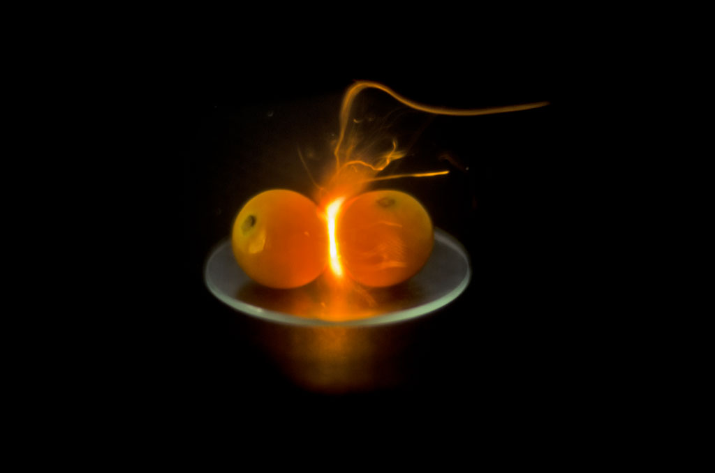Plasma from a Physalis Dimer thumbnail