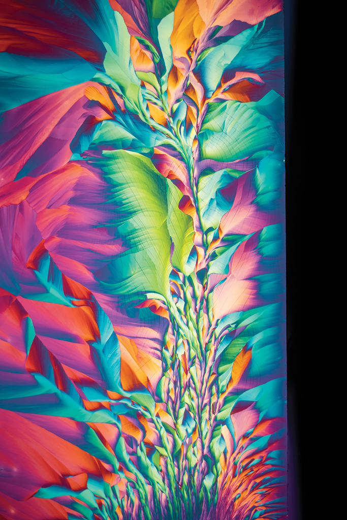 A plant-like formation thumbnail