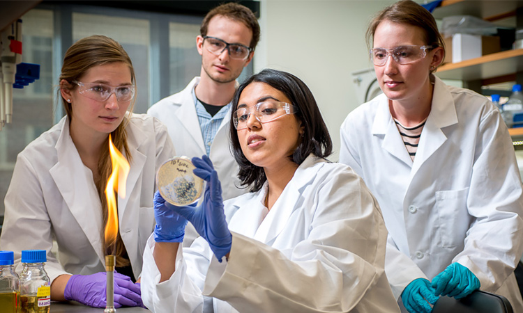 Anushree Chatterjee and colleagues in lab, Univ. of Colorado