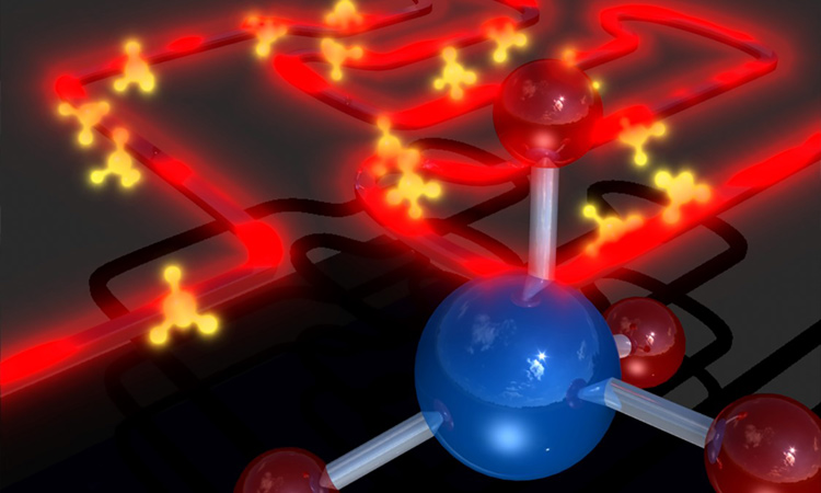 Chip-scale spectrometer artists conception