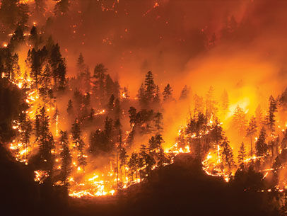 Illuminating Wildfire Risk header image
