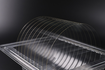 Glass wafers in holder image