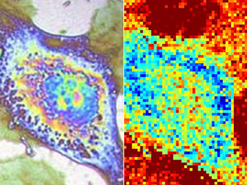 Scatterings image