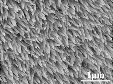 micrograph of nanorods