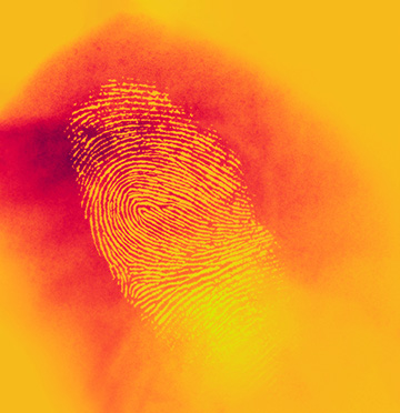 stylized fingerprint