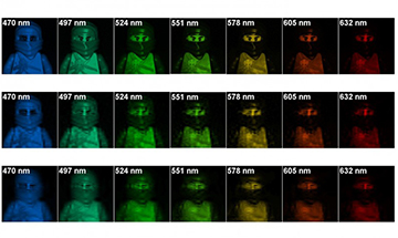 Scatterings image