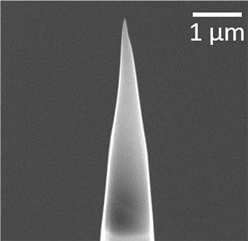 EM image of nanotip