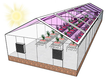 Greenhouse drawing