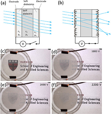 Scatterings image