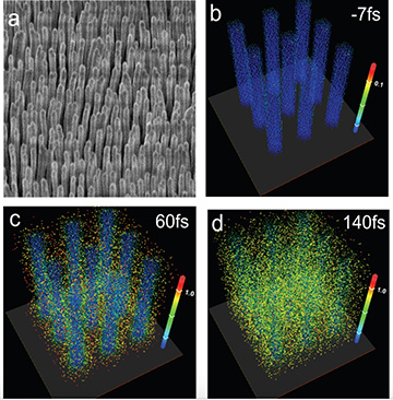SEM image and simulations of nanowires