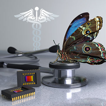 morpho butterfly with microchips