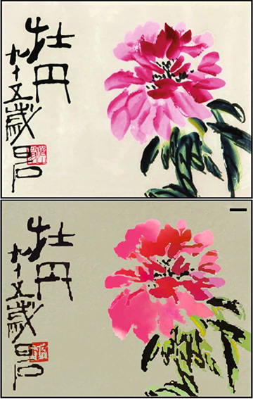 watercolor original of flower picture, and nanostructure copy