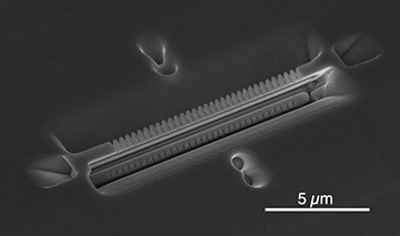 electron micrograph of cavity device