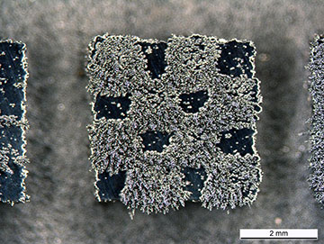 Photomicrograph of magnetized part