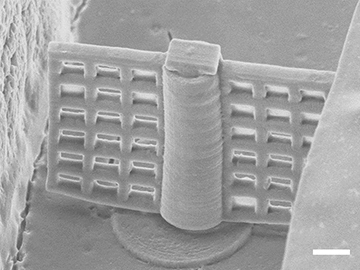 Electron micrograph of device