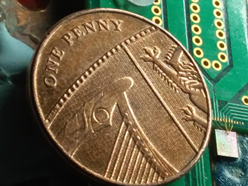 chip with coin for scale