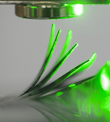 film beneath magnet, illuminated by green light