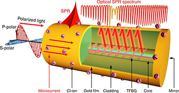 schematic of gold-coated fiber system