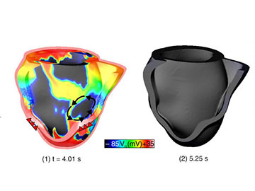 Scatterings image