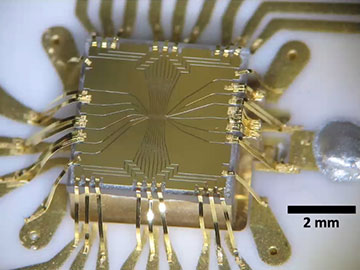 NIST chip image