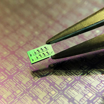 Photo of chip in tweezers
