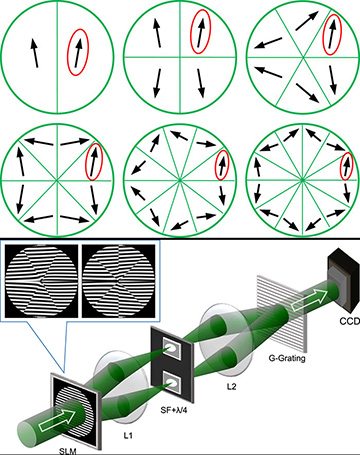 drawings of mirror symmetry and experimental setup