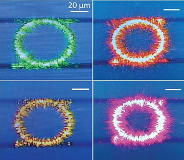 micrographs of four ring resonators emitting colored light