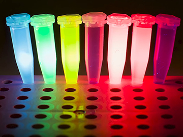 seven vials of fluorescent dyes