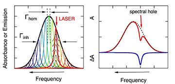 Graph showing frequency distribution and spectral-hole burning