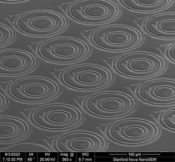 Electron micrograph of microring array