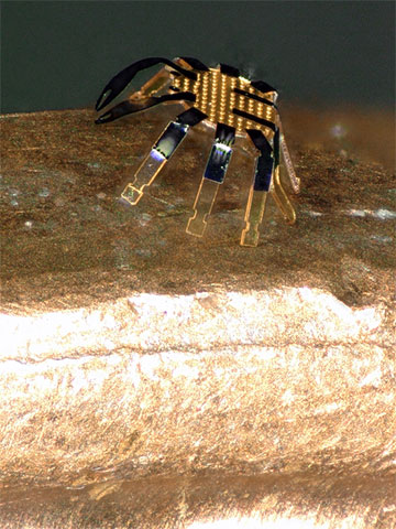 Crab robot