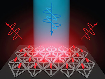 Optics & Photonics News - Creating Quantum Rod Arrays with DNA Origami