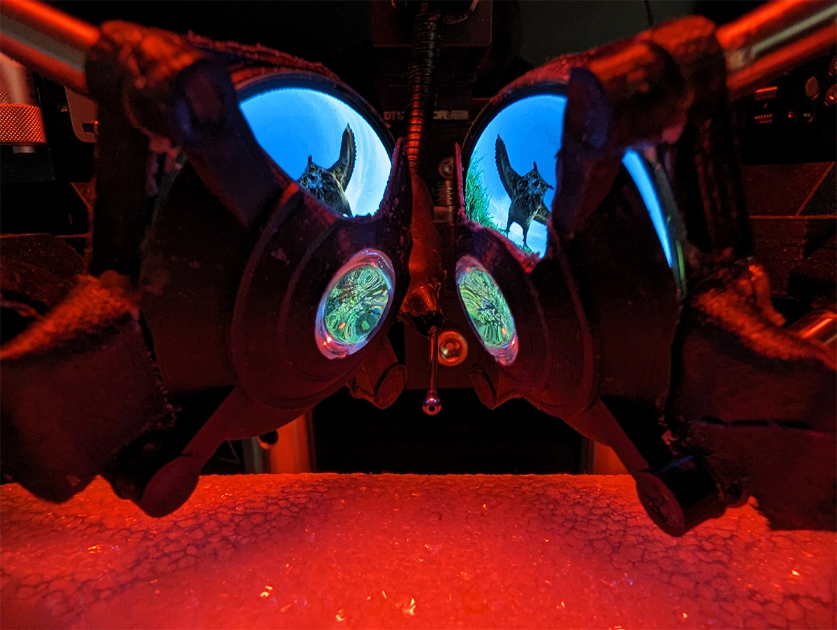 a view through the goggles