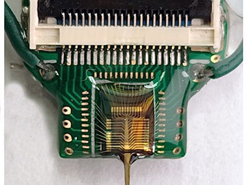 Optics & Photonics News - Dual-Color Neural Probe Offers Bidirectional ...