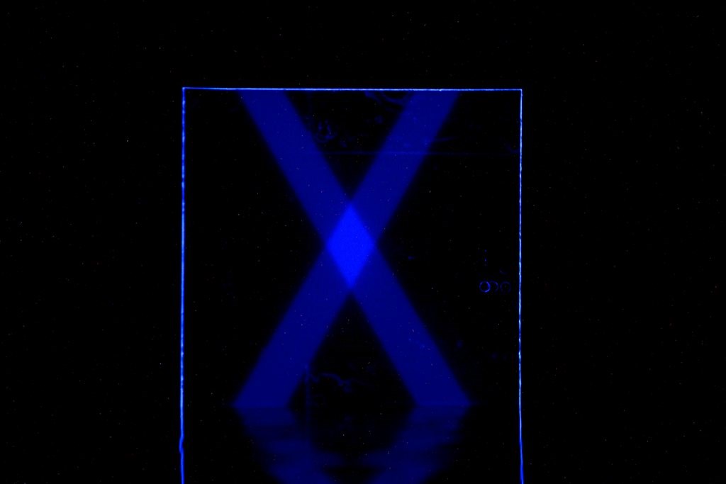X Marks the Spot  thumbnail