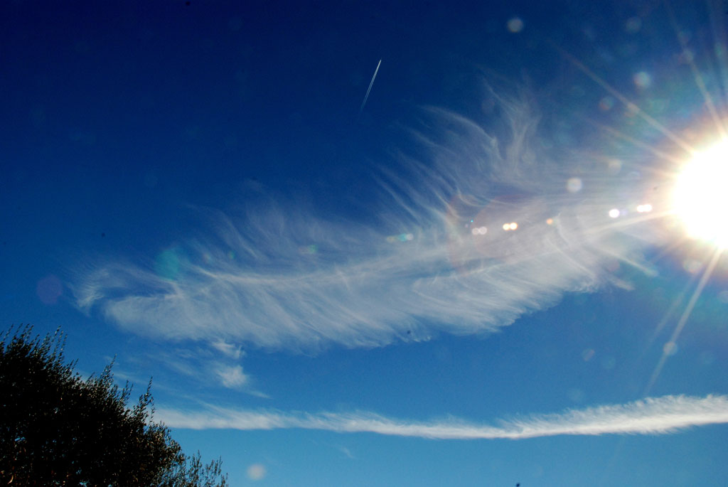 Feather cloud thumbnail