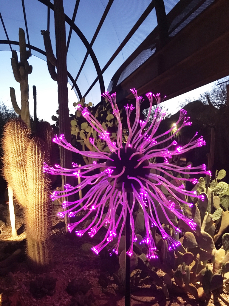 Fiber Optics Lights Up the Sonoran Desert thumbnail