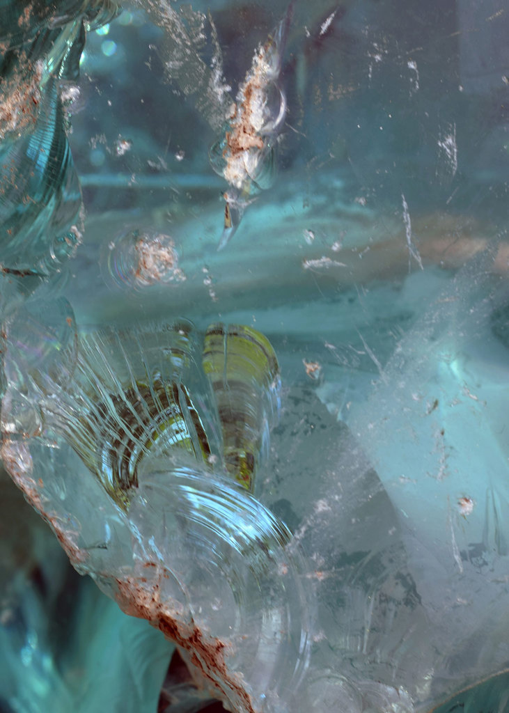 “Undersea Scene” in Glass thumbnail