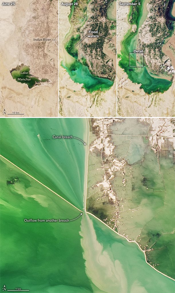 Lake Manchar Overflowing thumbnail