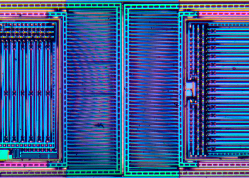 Epi-illumination Photomicrograph thumbnail