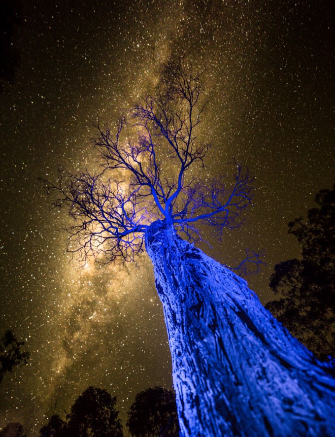 Under the Milky Way 