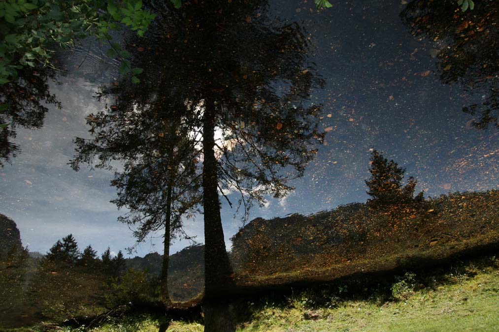 Mirrored reflections thumbnail