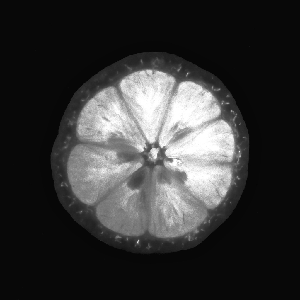 Illuminated lemon thumbnail