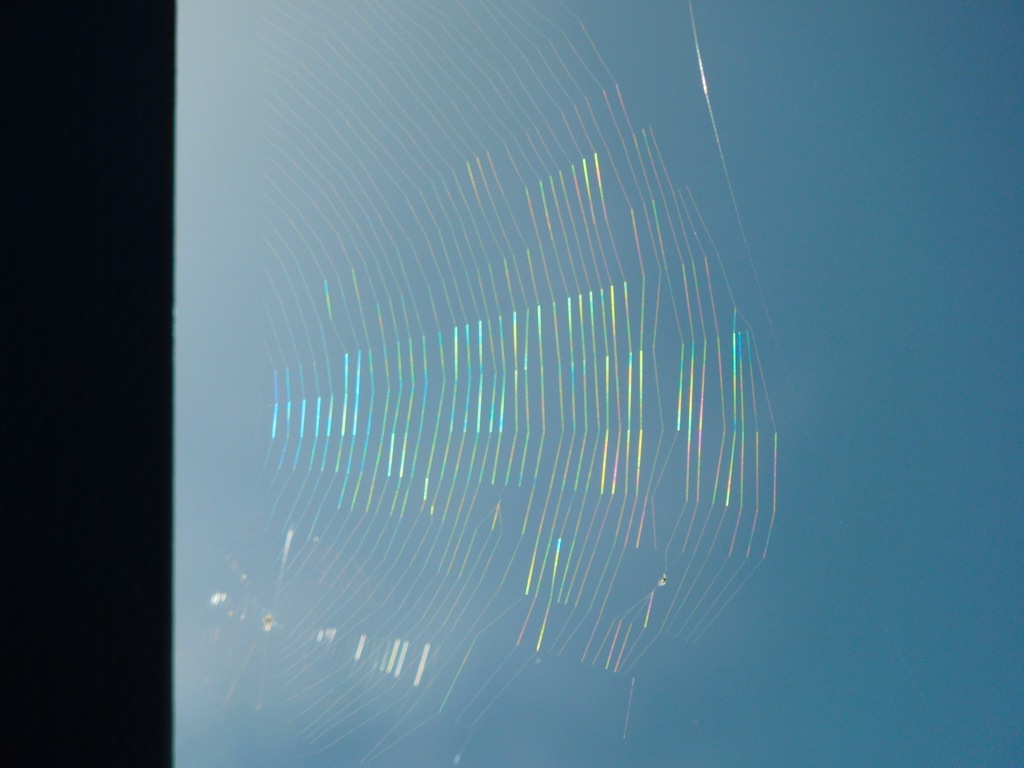 Diffraction grating thumbnail
