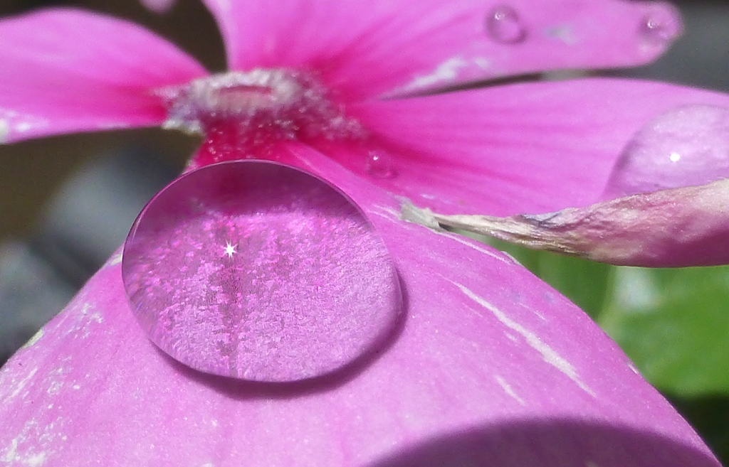 Water droplets