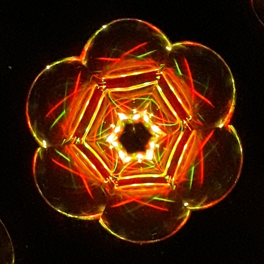 Ferroflower thumbnail