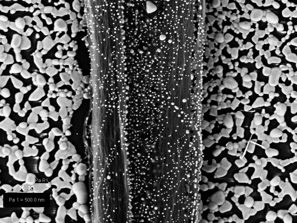 Scanning Electron Microscope (SEM) image thumbnail
