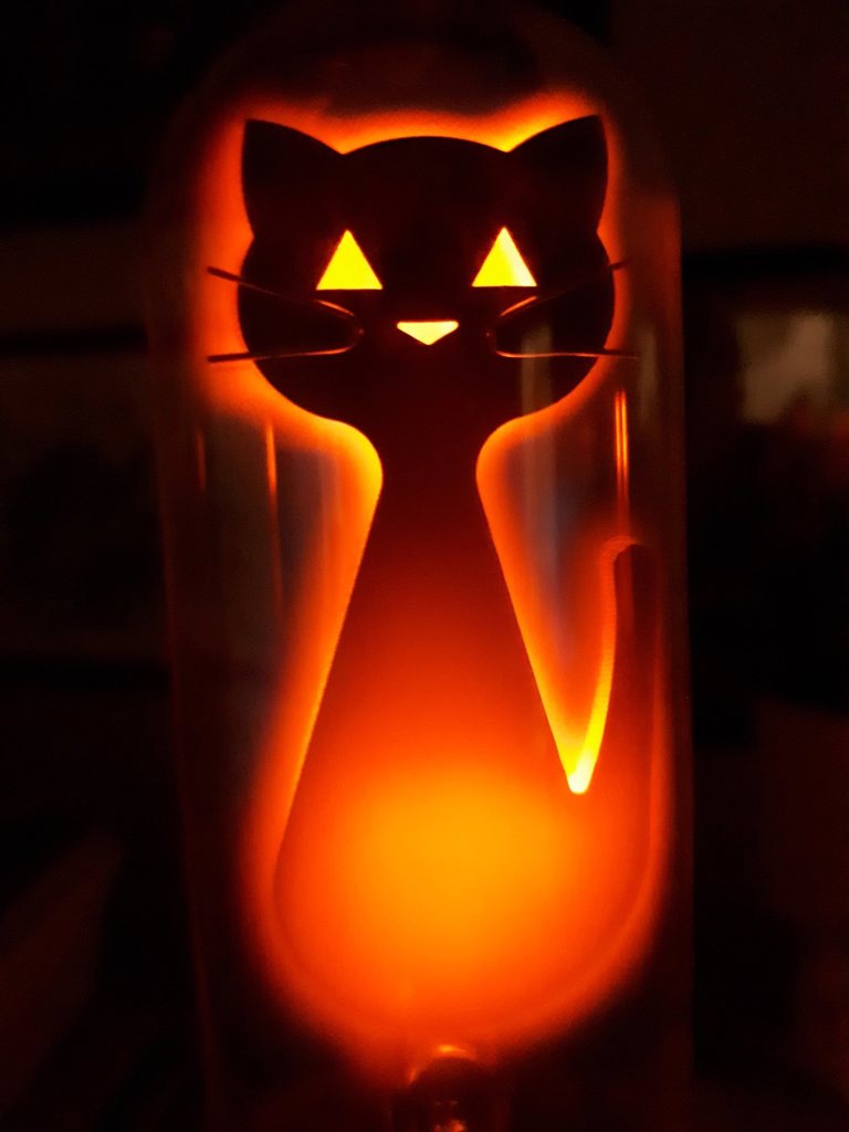 Schrodinger's Neon Cat thumbnail