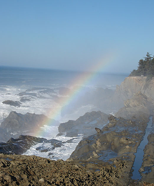 Ocean Rainbow