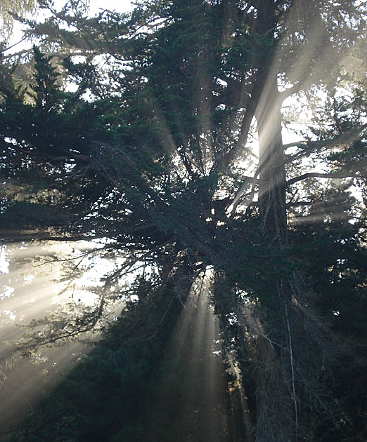 Sun Through Fog